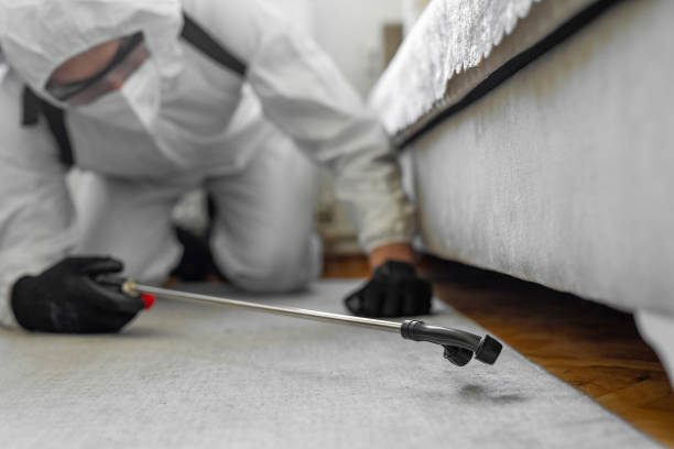 Professional Ant Control technician working in Camanche, IA