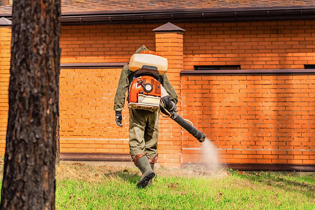 Trusted Rodent Control service in Camanche, IA - Nex Pest Control